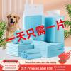 Second-Grade Dog Training Pee Pads with Urine Barrier, Ideal for Small Dogs