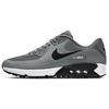 Air Max 90 G Smoke Grey CU9978-001