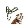 Zugstopp-Hundehalfter – Halti – Größe 2 – Waldgrün – Neopren – Gepolsterter Nasenriemen
