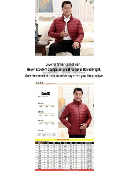 Men's Lightweight Down Jacket - Midlife & Senior, Plus Size, Short, Autumn/Winter Coat