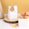 Retro Kraft Paper Gift Box with Rope Tag Birthday Party Favors Box Kraft Paper Cookie Bag Gift