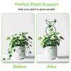 4 Different Shapes Climbing Plant Trellis Moisture-Proof Coating Metal Wire Garden Trellis Soil Insert Stakes