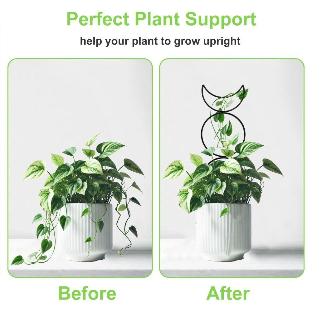 4 Different Shapes Climbing Plant Trellis Moisture-Proof Coating Metal Wire Garden Trellis Soil Insert Stakes