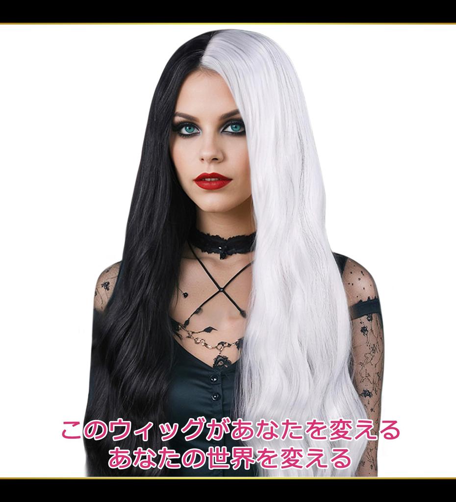CaseEden Cosplay Wig, Wavy Hair, Center Part, Long, 60cm, Heat Resistant, Black & Silver, WIG6196