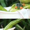 A Whimsical Frog Statue with a Unique Design of a Frog Taking a Bath Perfect for Home Decor Both Indoors And Outdoors