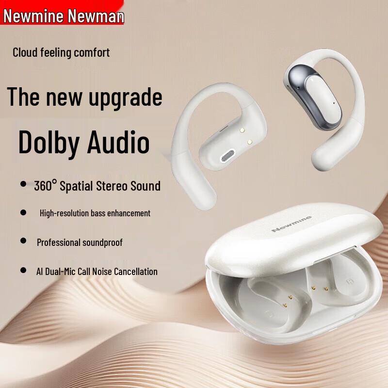 Newmine LY56 True Wireless Sport Ear-Hook Bluetooth Earphones