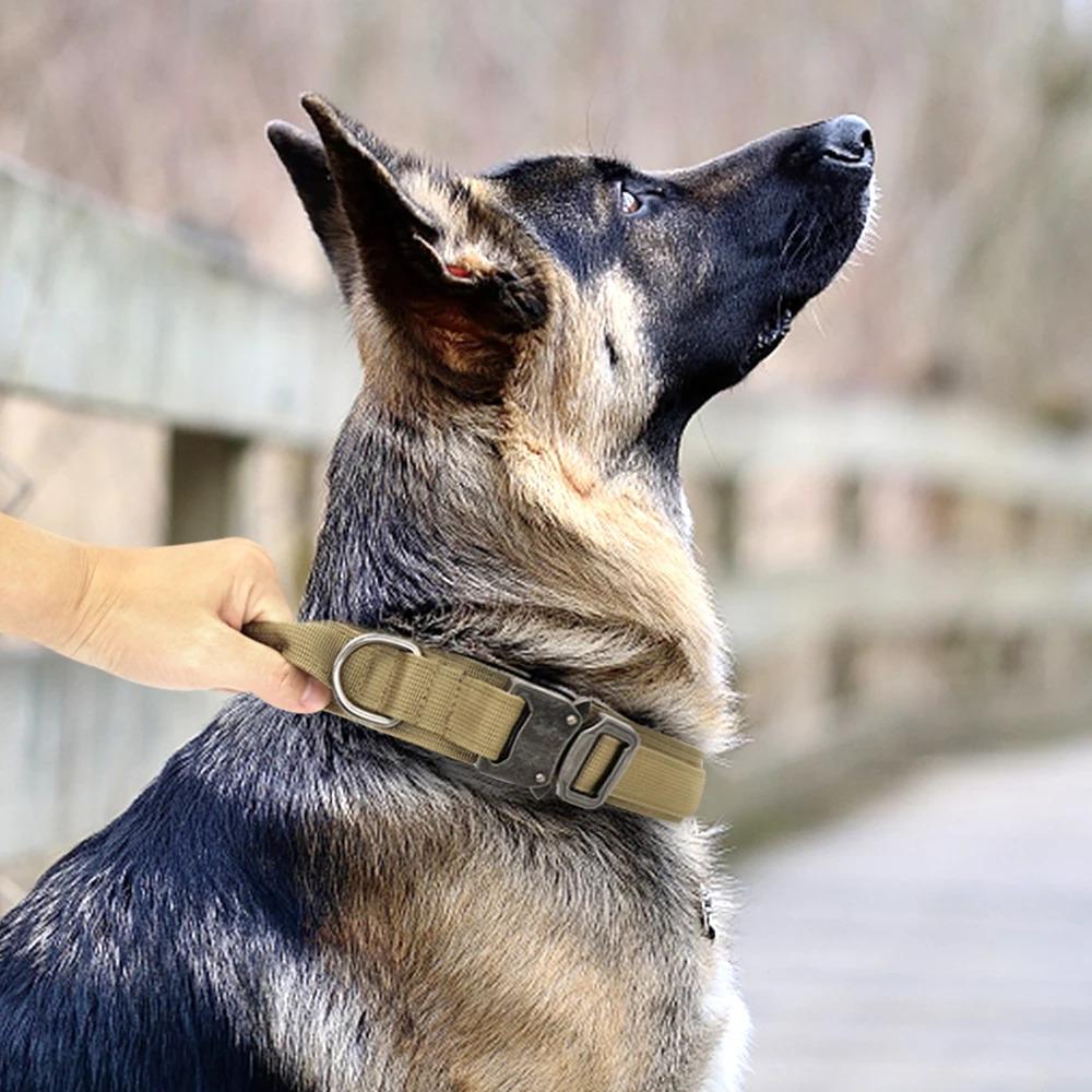 Durable Military Tactical Dog Collar Adjustable Pet Nylon Training Rottweiler Dog Collar For Medium Large Dogs German Shepard