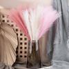 10PCS/Set Home Decor Fluffy Pampas Grass DIY Fake Plant Reed  Christmas Festival Decor
