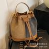 New bag women's 2025 popular bucket bag autumn and winter niche design messenger bag high-end sense work small bag