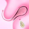 Sexspielzeug Fernbedienung Vibrator Weiblich Kabellos Klitoris G-Punkt Stimulator Vibrierendes Liebesei Erwachsenenartikel für Frauen Slip 18+