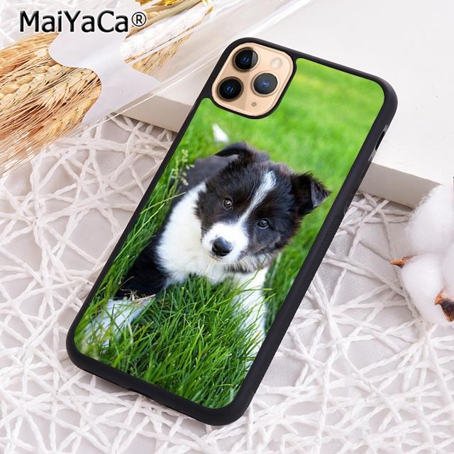 Beautiful Fun Border Collie Dog Puppies Phone Case For iPhone 17 Air 16 15 14 plus 12 13 pro max coque