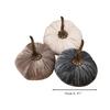 Pumpkin Trio for Thanksgiving Home Decoration