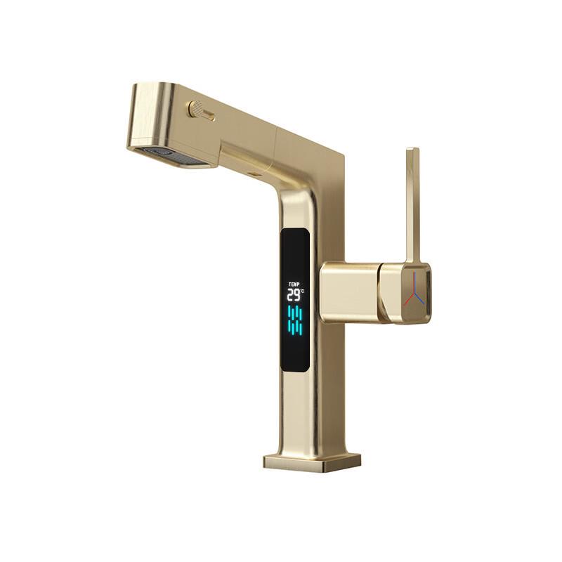 TLXT Digital Display Pull-Out Basin Faucet