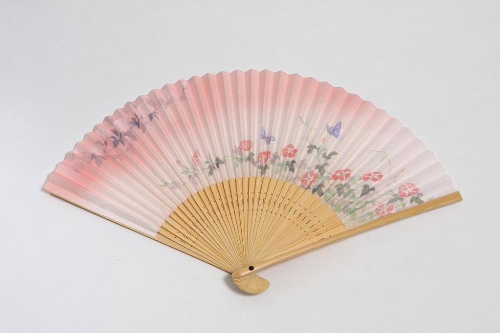 Folding Fan with Fan Gift Box Made in Japan [Hasegawa] Women's Case, Included, (Morning Glory)