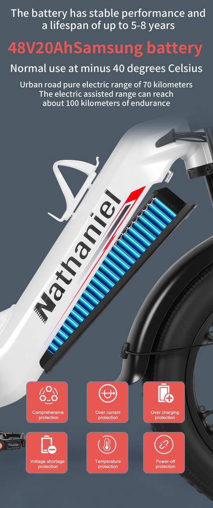 Nathaniel's New SYR08 Outdoor Electric Bike, Dual Motor 2000W, 20x4.0 Integrated Wheels, 48V20AH, Speed 50+, Snow/sand Outdoor Bike