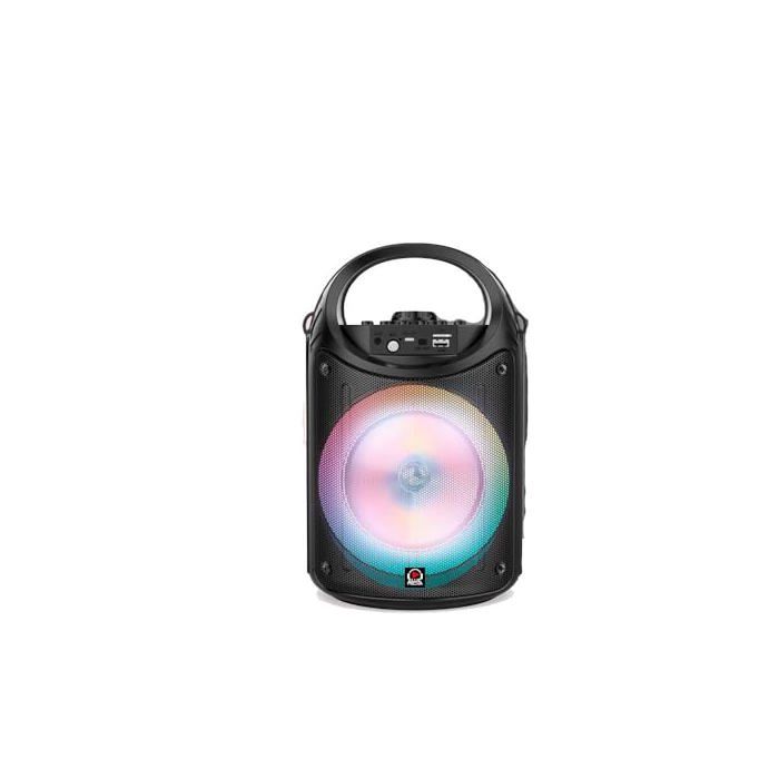 Enceinte Bluetooth - CLAUDIO REIG - Radio FM - Mic - USB - LED - Multicolore