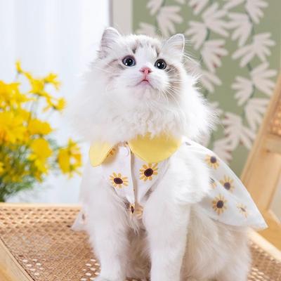 Sommar tunn solros tredimensionell axelremskjol katt nallebjörn liten och medelstor hund vår och sommar husdjurshundkläder