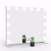 Wonstart Hollywood-Tischspiegel für Schauspielerinnen mit 14 warmen und kühlen LEDs, 2-farbiges Licht, verstellbarer Spiegel mit Tisch-LED, geeignet für Tischspiegel