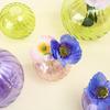 Multipurpose Clear Glass Ball Vases Small Hydroponic Pot Planter for Unique Terrariums Jar and Propagation Stations Display