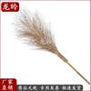 Longyan Heavy-Duty Outdoor Bamboo Broom