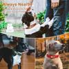Personalized Dog Collar Soft Leather Dogs ID Tag Collars With Free Engraving Nameplate Anti-lost For Small Medium Dogs Pitbull