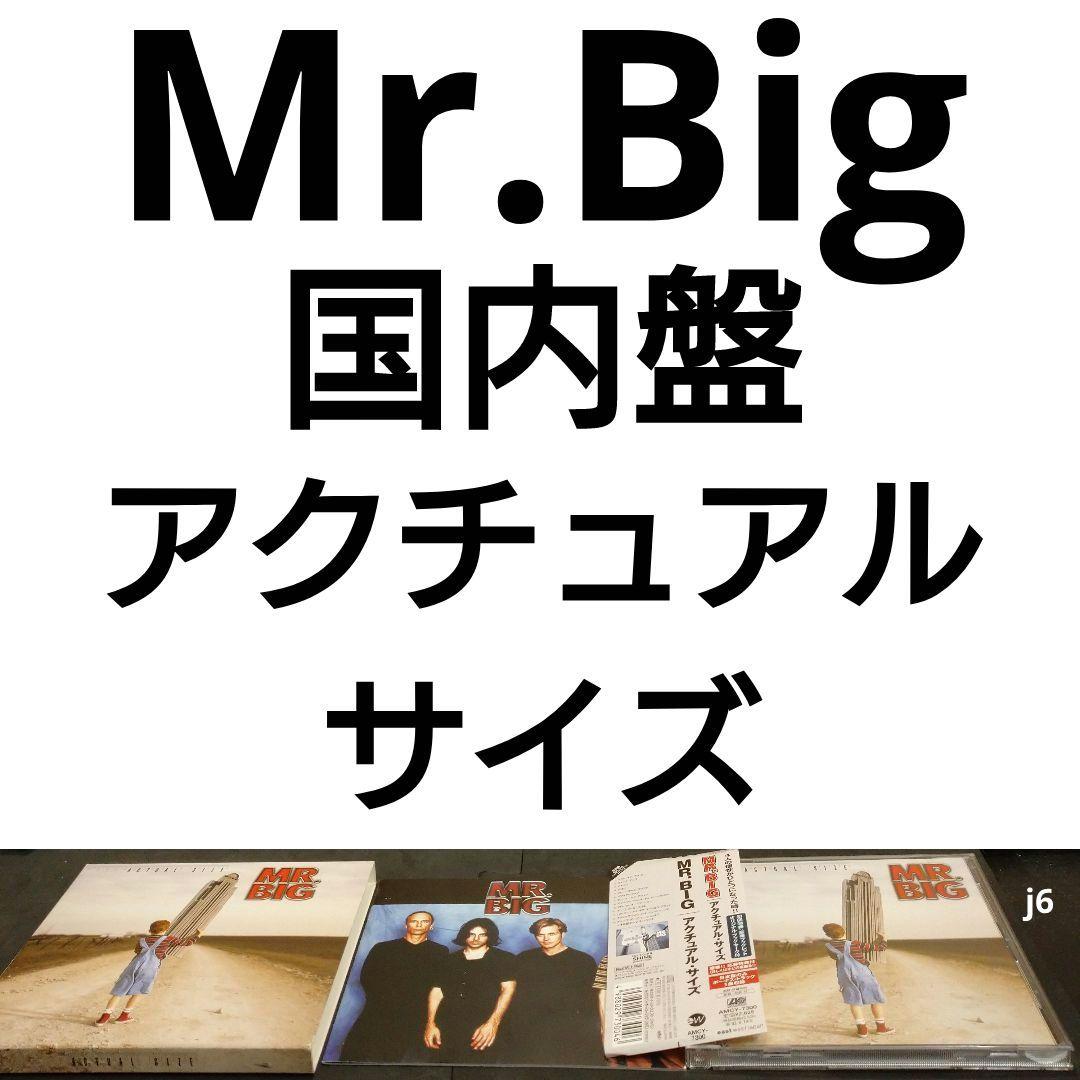 

[USED] Domestic edition MR.BIG/Actual Size
