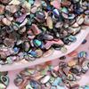 [Iridescent Shell Stones] 6g Colorful Iridescent Natural Shell Stones | for Nail Art, DIY Nail Designs, Jewelry Making & Decorative Crafts