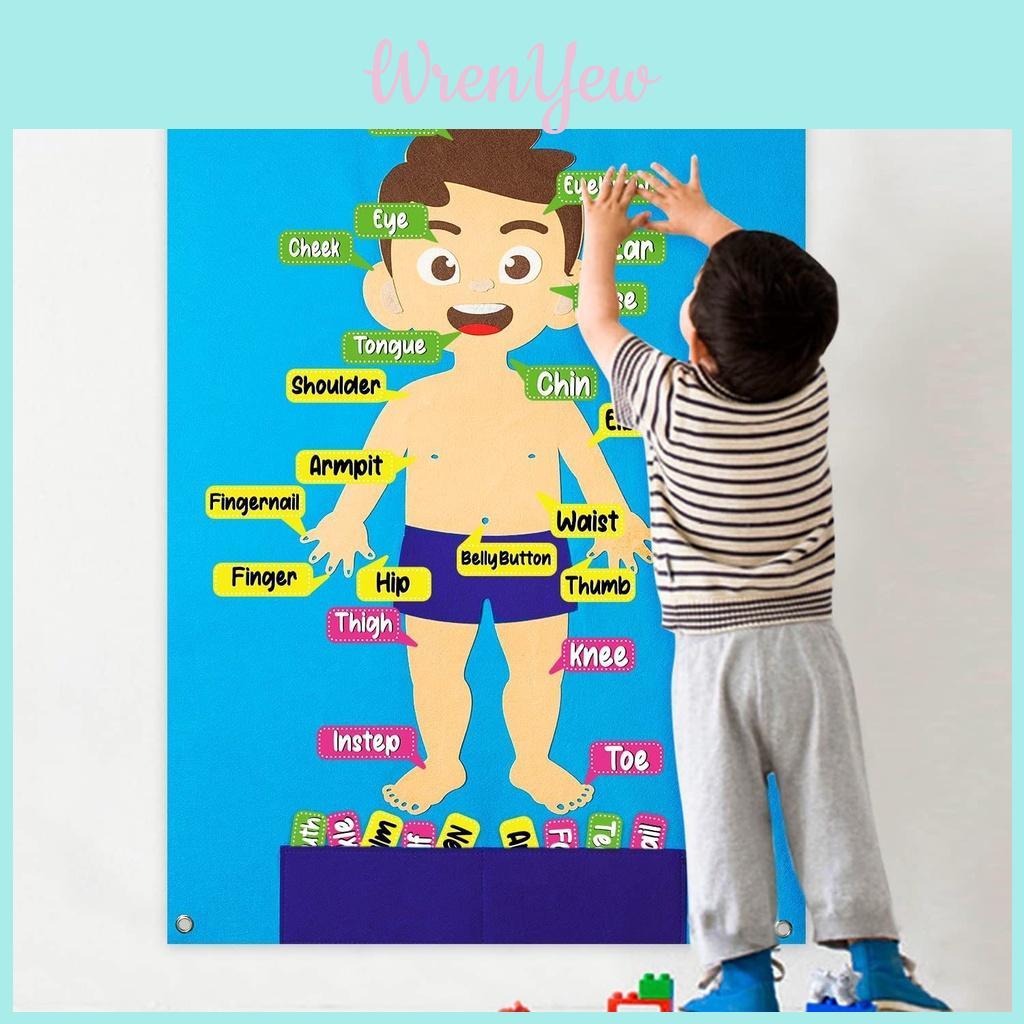 Kids' Felt Body Structure Puzzle Board With Organ Images