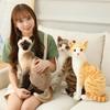 New Doll Cat Doll Cute Plush Toy Cat Doll Siamese Cat Cloth Doll Doll