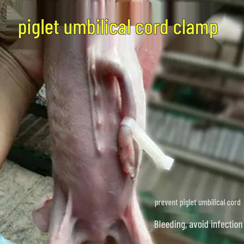 Disposable Umbilical Cord Clamp for Piglets, Dogs, Cows, Horses, and Sheep - Free Shipping