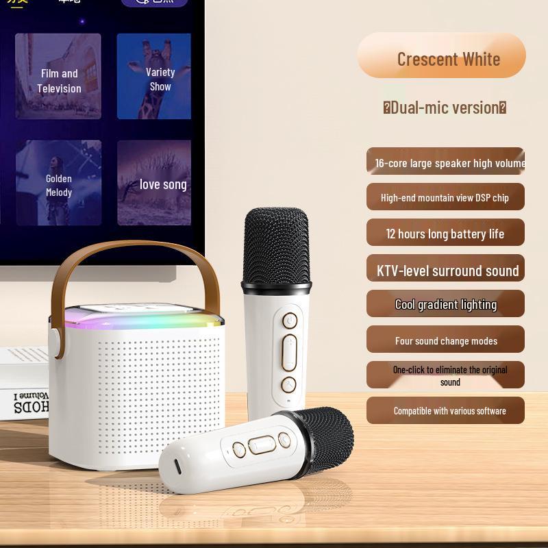 Y1 Bluetooth Wireless Children's Home KTV Microphone Speaker Set