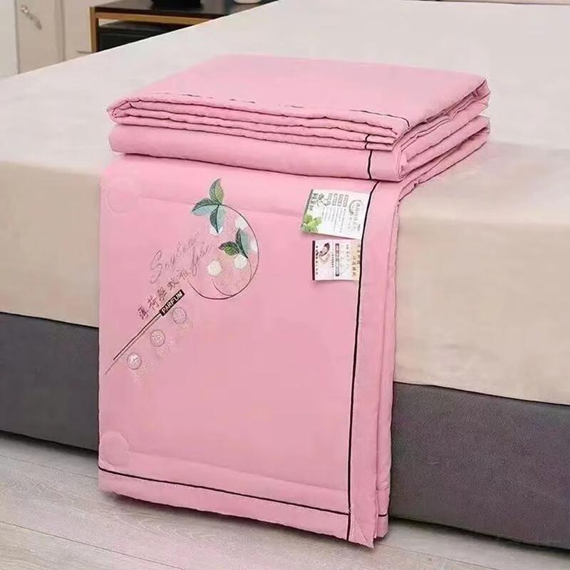 Lai Zhi Yi Breathable Summer Cooling Quilt