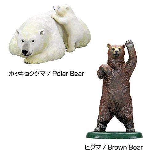 Colorata World Bear Figurine 3D Encyclopedia (Bears / 8 types / with explanatory booklet) Realistic Figurine Box Toy Educational Toy Gift Food Sanitat