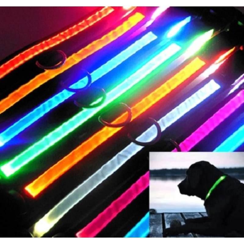 Brightly Colored Led Dog Collar Rechargeable Light-up Neckband For All Size Dogs