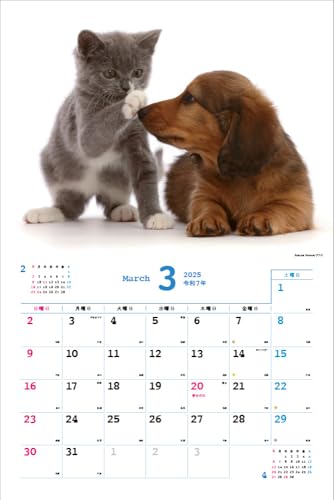 2025 Ημερολόγιο Nakayoshi Σκύλος/Γάτα <Γεμάτο χαριτωμενιά!> Κάθε μέρα είναι μια χαλαρωτική στιγμή > ([Ημερολόγιο])