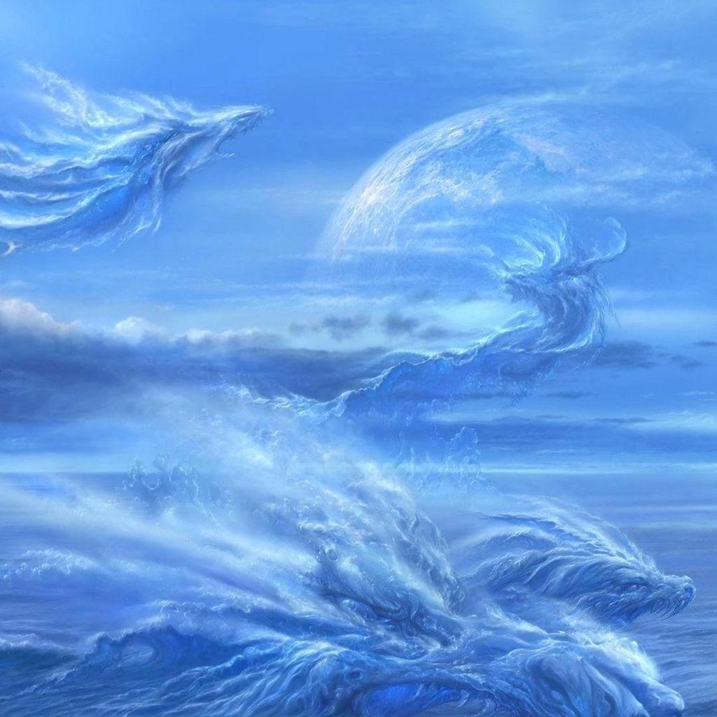 Ocean Dragon Ninja Muay Thai Kickboxing Boxing MMA UFC Casual Shorts Gym Sport Unisex Men Women Workout Quick Dry Print Elastic High Waist Training