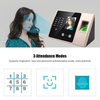 E3 Intelligente Biometrische Fingerabdruck-Zeiterfassung mit HD-Display Zeiterfassungsuhr unterstützt Gesicht Fingerabdruck Passwort