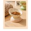 Rainbow Gradient Pet Bowl Ceramic Food Bowl Slanted Mouth Feeders for Cats