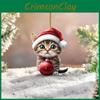 Hat Christmas Cat Car Hanging Decor Acrylic Pendant Tree Ornament Travel Holiday