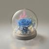 Eternal Flower Spherical Glass Cover Rose Dried Flower with Lamp Base Yunnan Commemorative Real Flower Simulation Art Floral Art