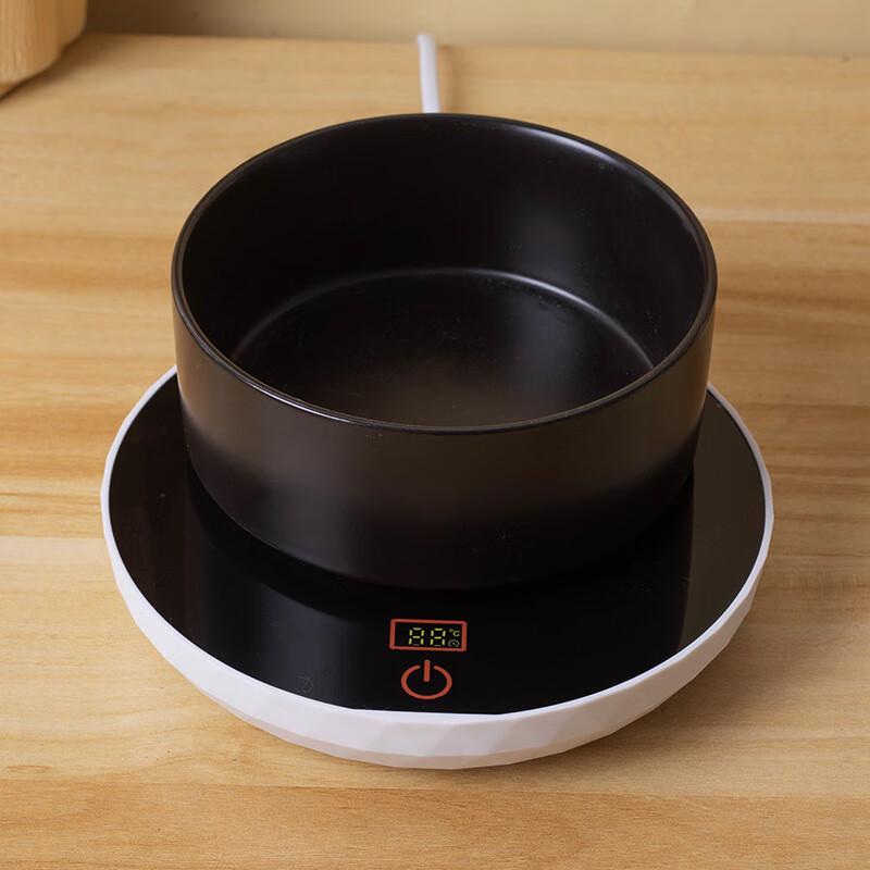 QIO Pet Constant Temperature Water Dispenser with Ceramic Bowl