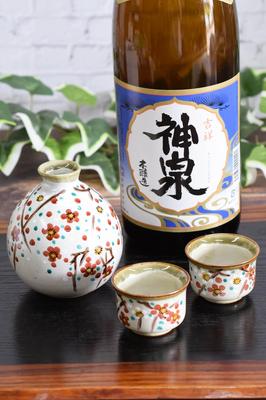 Sake-Sake-Flaschengeschirr Kutani Ware Abendgetränk Sake-Set Koume Keramik Marke Japanisches Geschirr Made in Japan