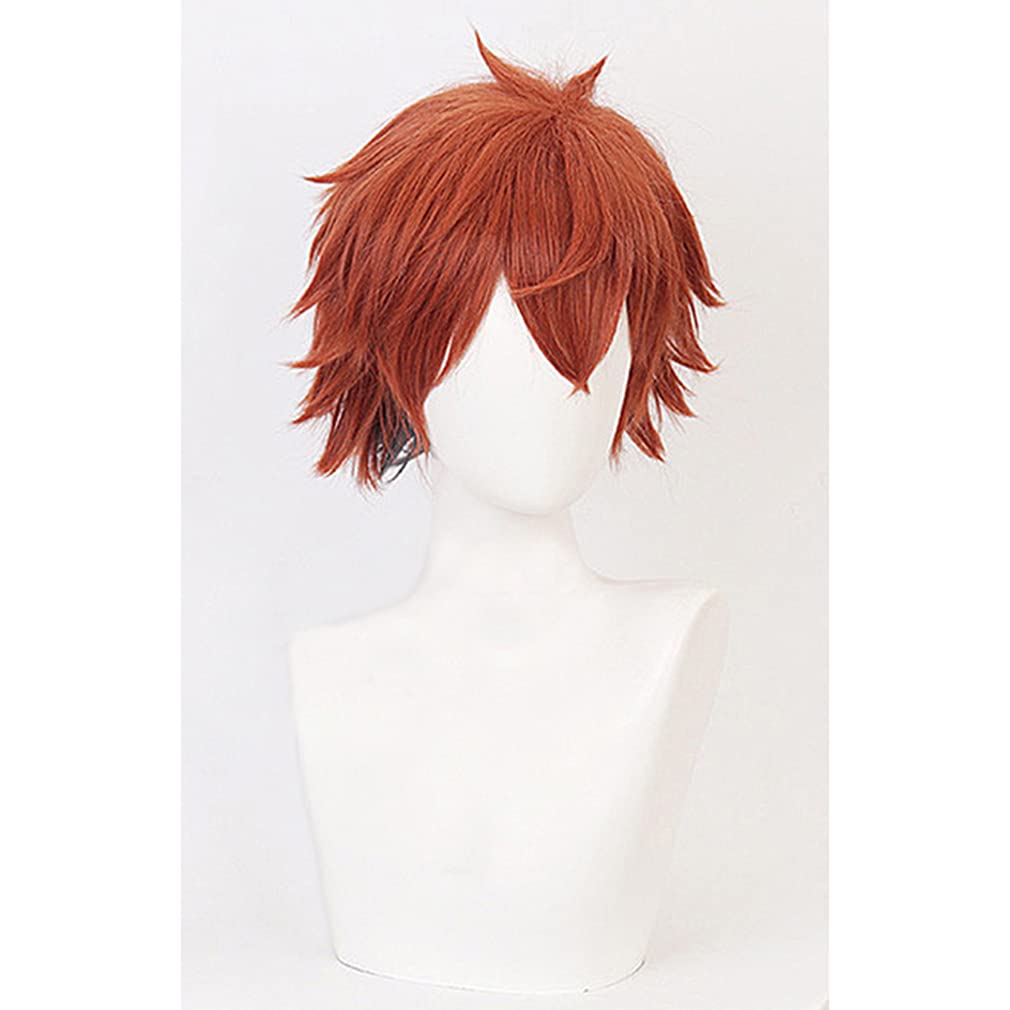 LAOBAO Cosplay Wig, Red Hair with Black Mesh, Short Hair, Heat Resistant, Disguise Wig, Costume Accessory, Party, Fancy Dress, Halloween, Festival, Ev