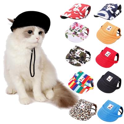 Pet Hat: Cat, Dog & Teddy Baseball Cap