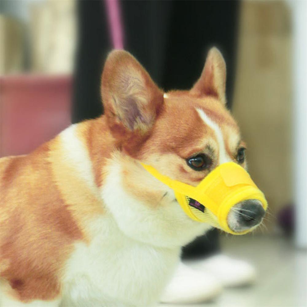 Anti Barking Dog Muzzle for Dogs Adjustable Mesh Breathable Pet Mouth Muzzles Small Medium Large Dogs Anti-biting Pet Supplies