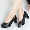 Womens High Heels 2025 Autumn New Soft Leather Soft-soled Mother Shoes Middle Heel Comfortable Breathable Non-slip Work Shoes