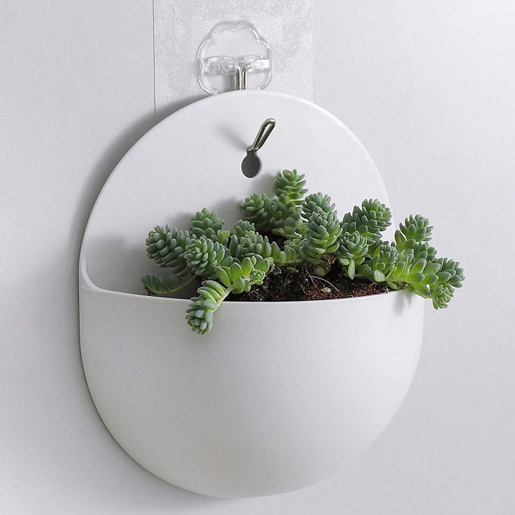 2pcs Home Hydroponics Wall Hanging Flowerpot Wall Hanging Vase Lazy Plastic Wall Hanging Wall Hanging Flowerpot