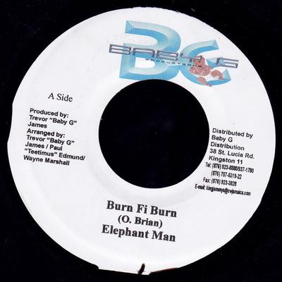 7inch Record ELEPHANT MAN - Burn Fi Burn NONE Baby G Producti 2004 Jamaica Reggae, Ska & Dub Used