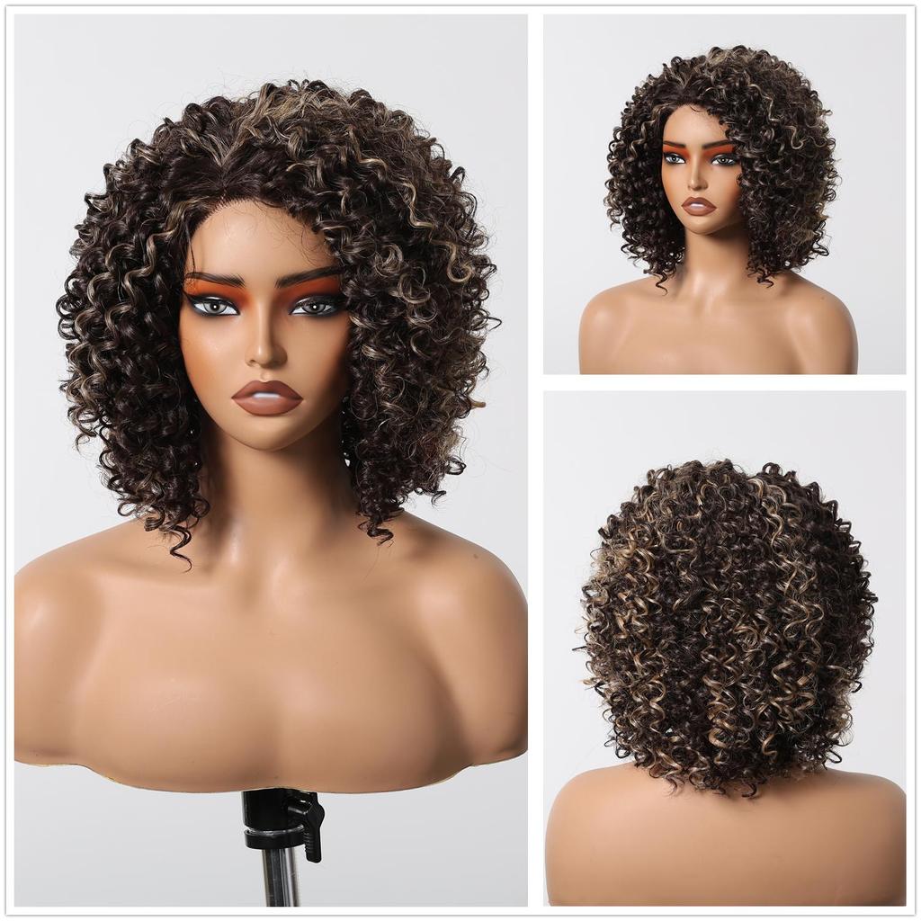 ALAN EATON  13x1  Lace Front Wig Black Short Deep Curly Wigs for Black Women Hair Daily Party High Density Heat Resistant