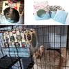 Gifty Small Animal Bed and House, 2-Way, for Rabbits, Guinea Pigs, Chinchillas, and Degus, Winter Protection, Fabric Swing, Warm Sofa (Blue)